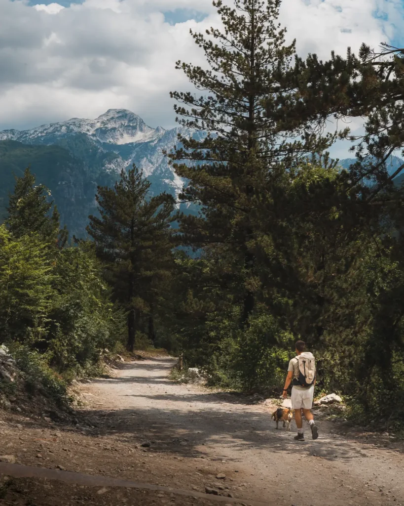 Man wandelt met hond in berglandschap van Montenegro