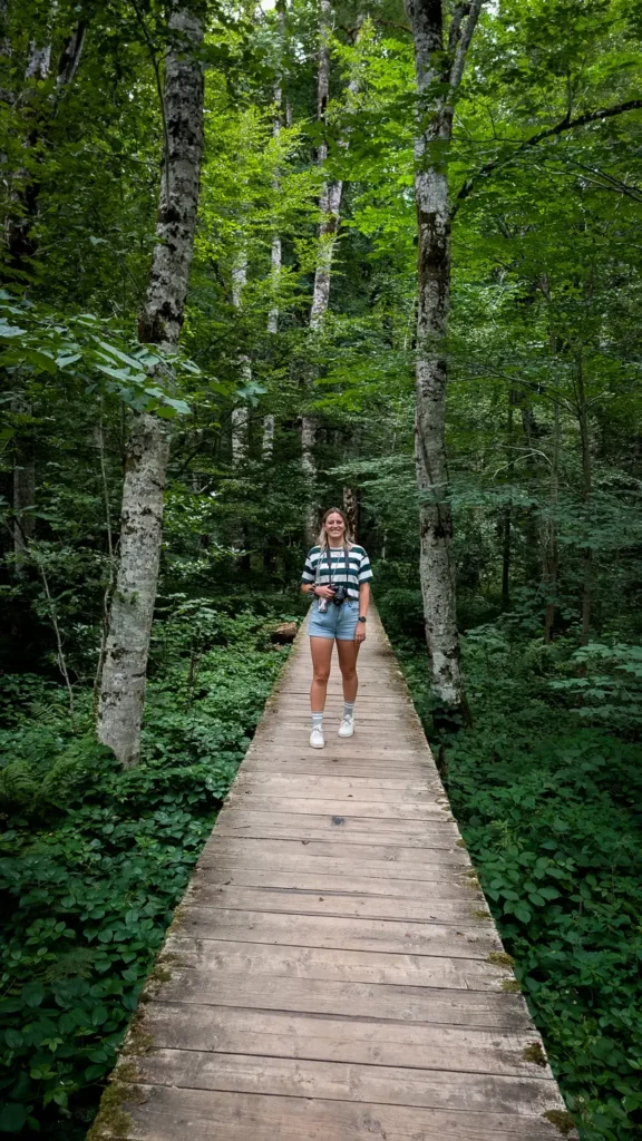 Wandelpad door dicht bos in Biogradska Gora Montenegro