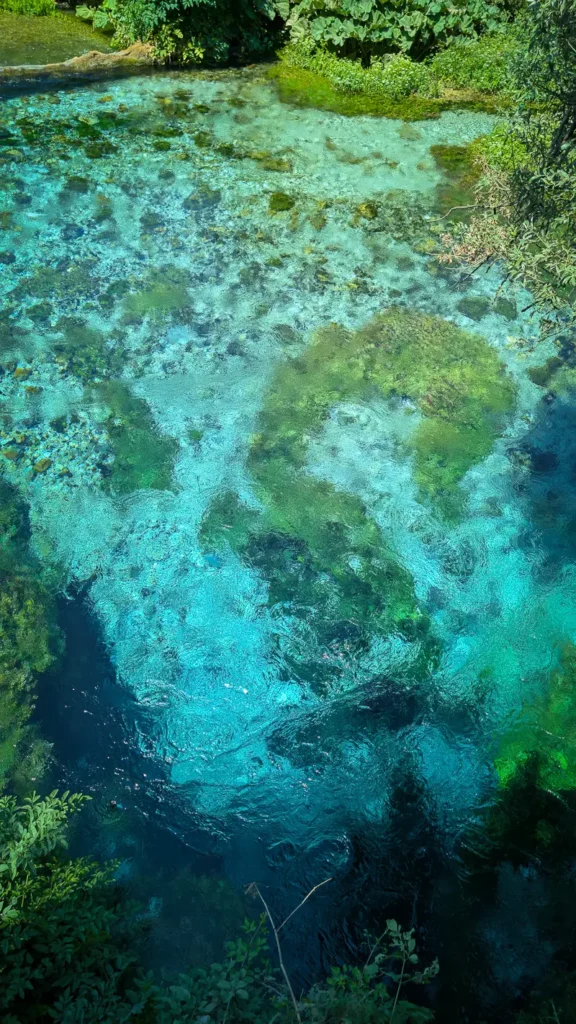 Helderblauwe waterbron Blue Eye omgeven door bomen in Albanië