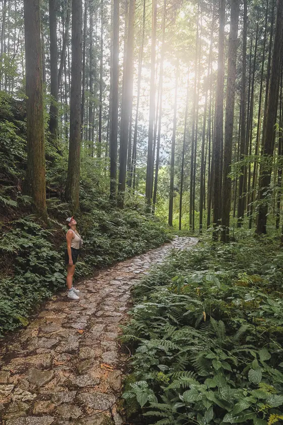 Reiziger wandelt door een bosrijk deel van de Nakasendo Trail tussen Magome en Tsumago – takayama nakasendo trail