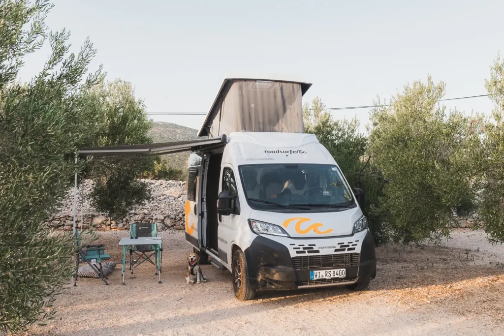 Roadsurfer camper geparkeerd tussen olijfbomen op een rustige camperplaats in Dalmatië