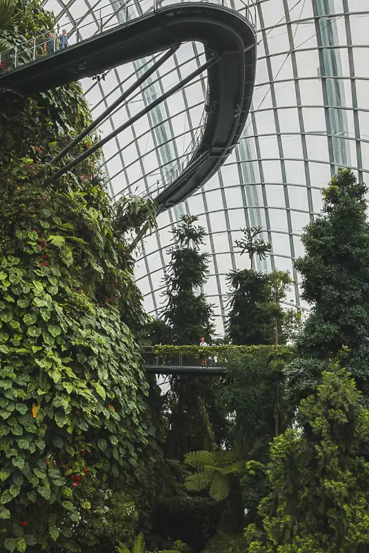 Weelderige jungle en Skywalk in de Cloud Forest Dome in Singapore, perfect tijdens een layover.