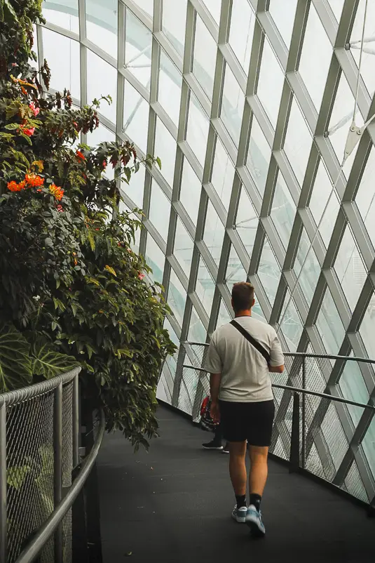 Wandelaar op de Skywalk in Cloud Forest, Gardens by the Bay tijdens een Singapore layover.