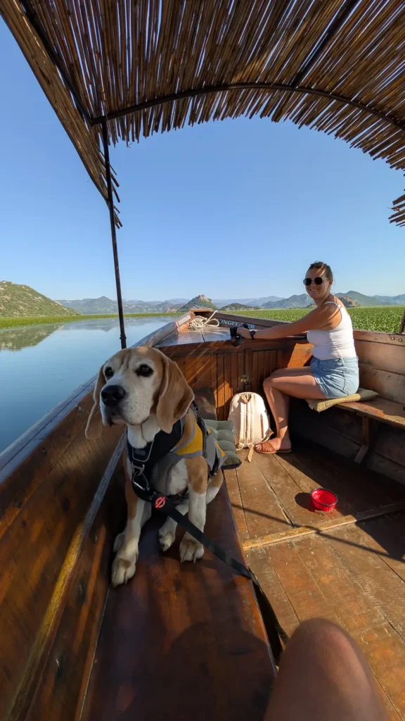 Hond op traditionele houten boot in Montenegro