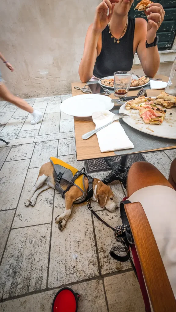 Hond ligt neer terwijl persoon pizza eet bij PIzzeria Storia in Dubrovnik