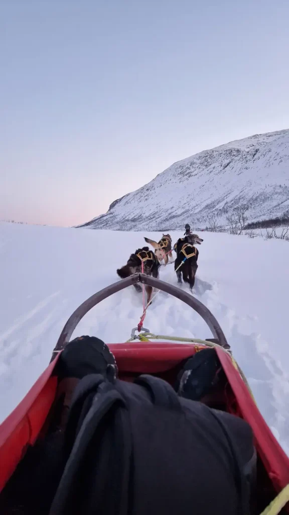 Hondenslee in Tromso moet je opnemen in je reisplanning tijdens de winter
