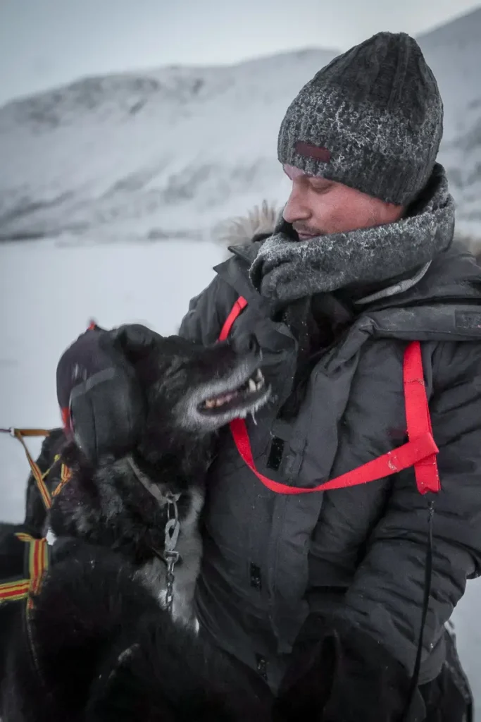 Na de hondensleetocht heb je tijd om de honden te aaien
