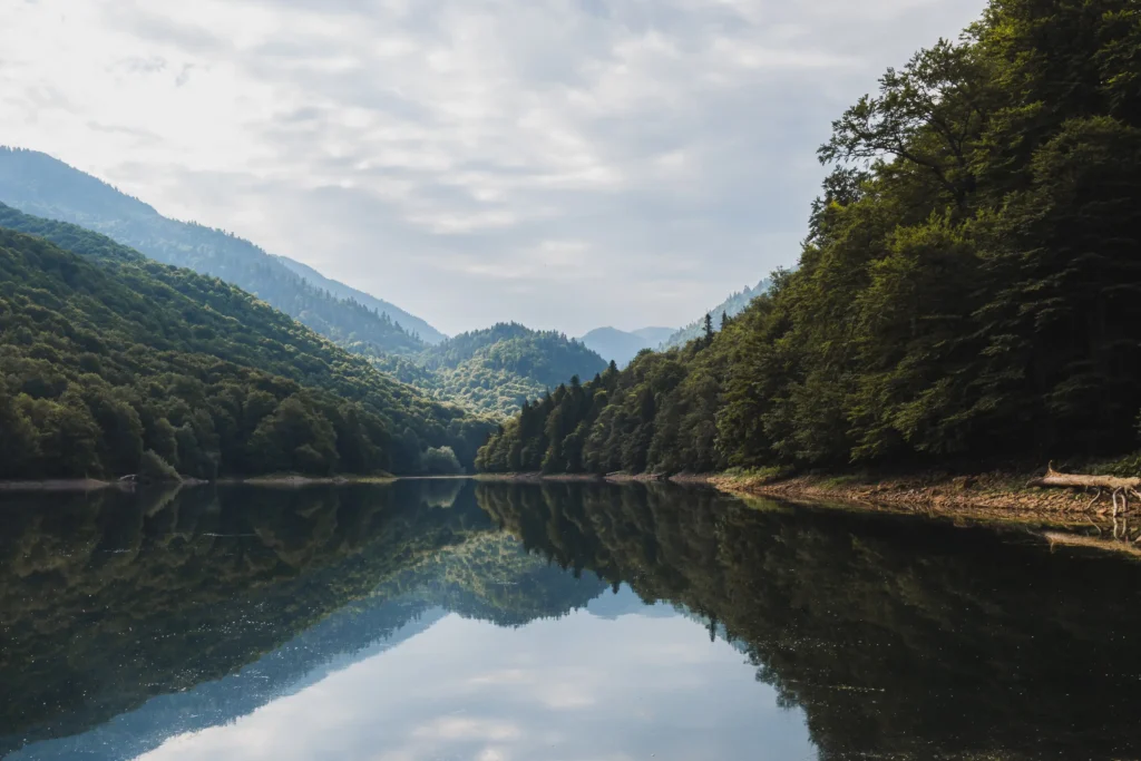 Reflectie van bergen in het meer van Biogradska Gora tijdens je reis door Montenegro