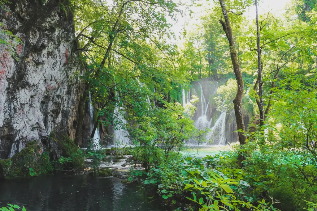 Watervallen verscholen tussen het groene bos van Nationaal Park Plitvicemeren