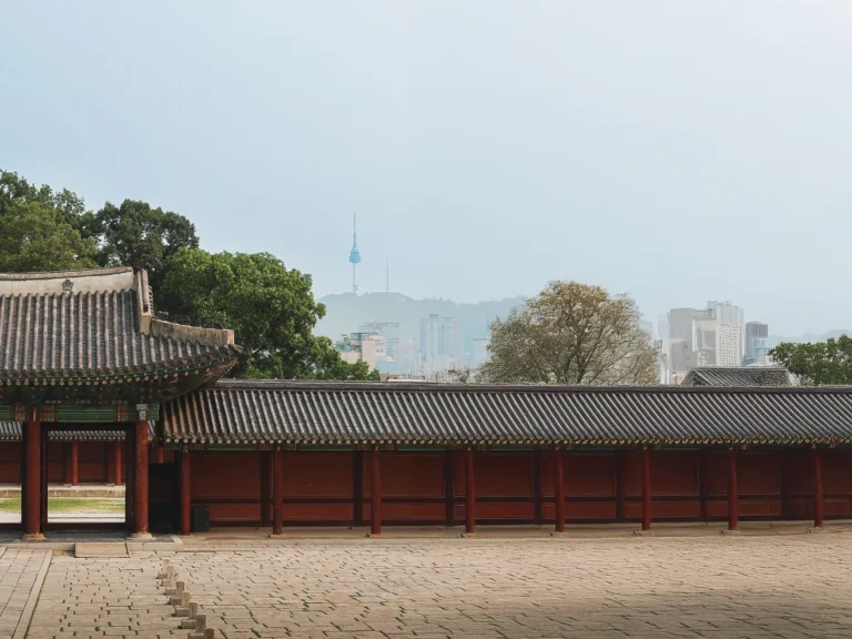 Changgyeonggung Palace met uitzicht op de N Seoul Tower tijdens onze rondreis door Zuid-Korea.
