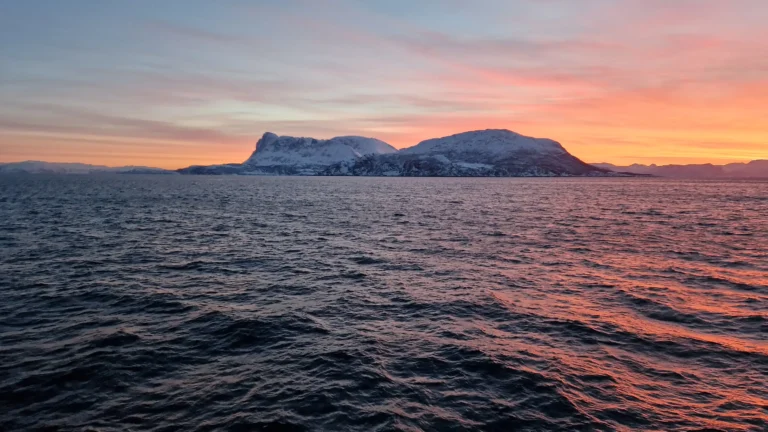 Walvissafari naar orka's en bultruggen in Tromso tijdens de poolnacht