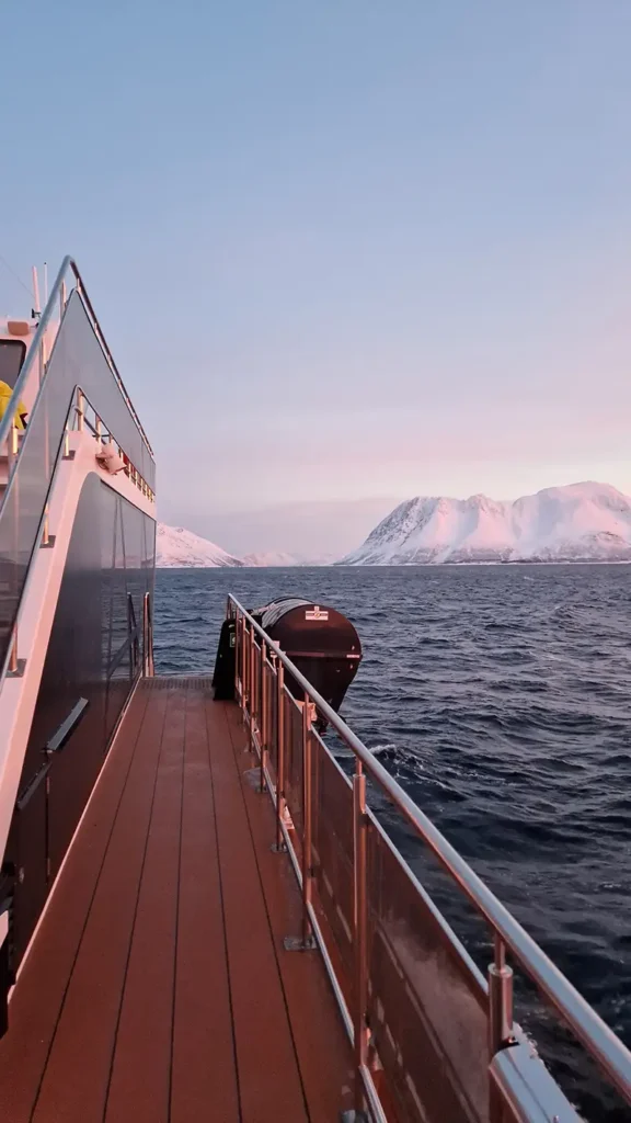 Whale watching tour in een must do om op te nemen in je planning voor Tromso