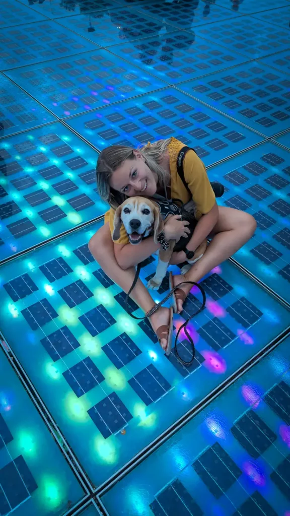 Beagle op de verlichte Zonnegroet installatie in Zadar